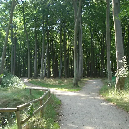 Kuestenwald - Ferienwohnung Hasenwinkel 6 * Muritz